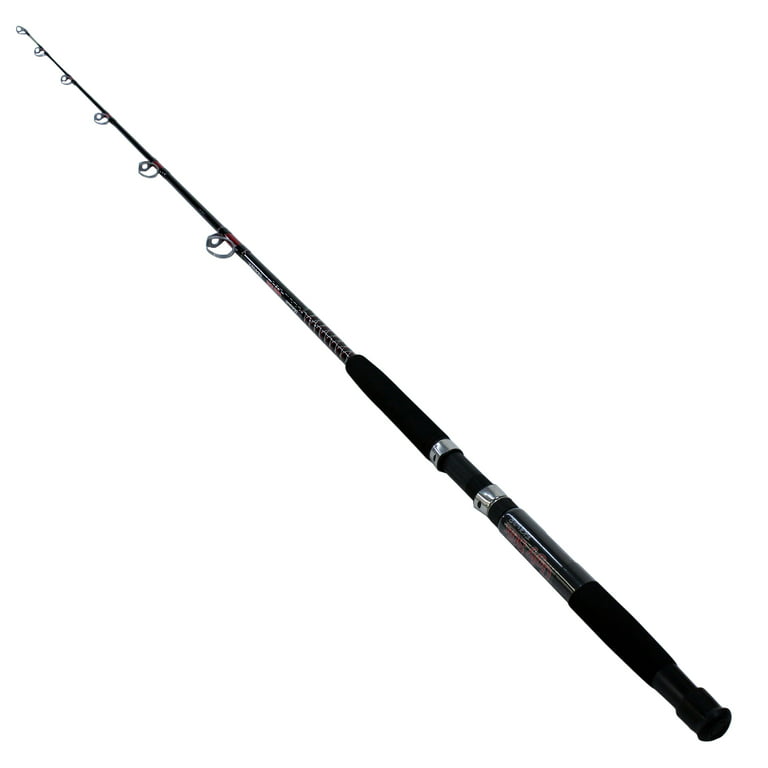 Ugly Stik Bigwater Casting Fishing Rod 