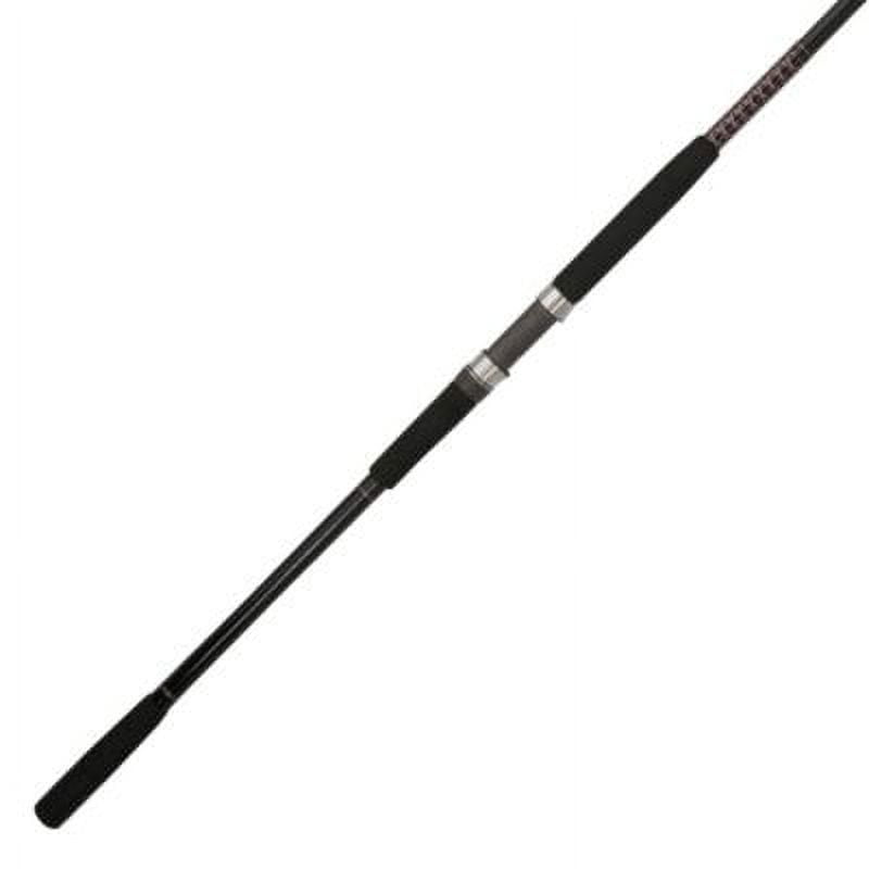 Ugly Stik Bigwater Spinning Fishing Rod