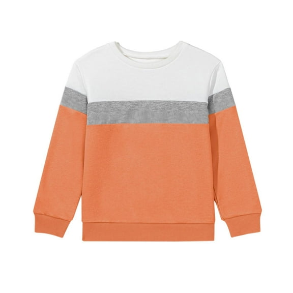 Ugoldhm Boys Color Block Sweatshirts Crewneck Long Sleeve Tops Casual Fall Winter Shirts Sizes 1T-15Y