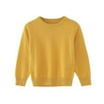 thumbnail image 1 of Ugoldhm Toddlers Knit Sweaters Pullover Round Neck Plain Shirts Fall Winter Clothing for 12M-7Y, 1 of 4
