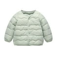 thumbnail image 1 of Ugoldhm Toddlers Lightweight Down Jacket Snap-Button Puffer Coat, Packable Collarless Design for 1-6 Years, 1 of 4