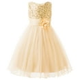 thumbnail image 1 of Uhnice Sequin Sleeveless Tulle Mesh Flower Girl Party Dress (Beige, 3 Years/110), 1 of 7
