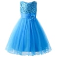 thumbnail image 1 of Uhnice Sequin Sleeveless Tulle Mesh Flower Girl Party Dress (Blue, 4T/120), 1 of 7