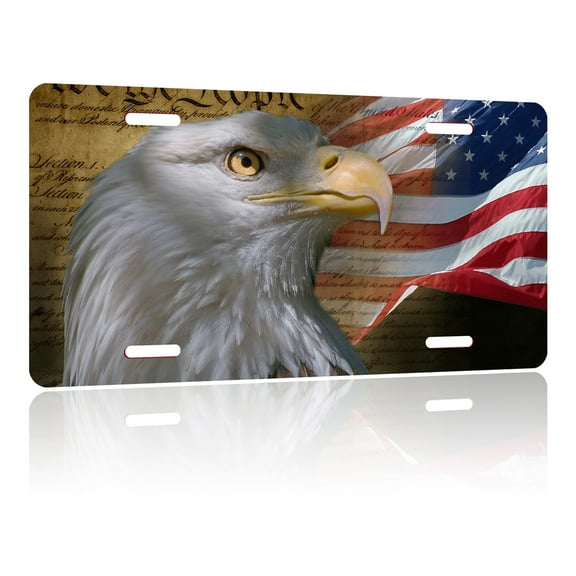 Uiaoiais License Plate Bald Eagle American Flag Decorative License Plate Cover Aluminum License
