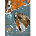 thumbnail image 1 of Uit het leven van een holistisch dierengedragstherapeute (Paperback), 1 of 1
