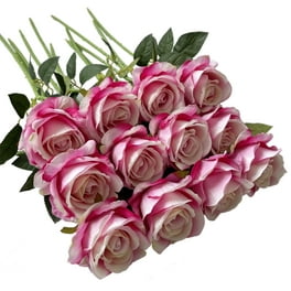 Celebrate It™ Occasions™ Decorative Rose Petals