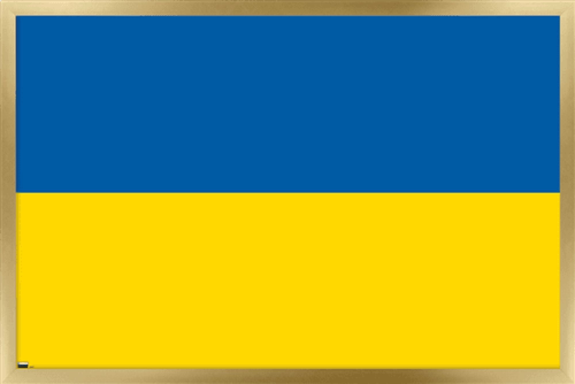 Ukrainian Flag Wall Poster, 22.375" x 34" Framed