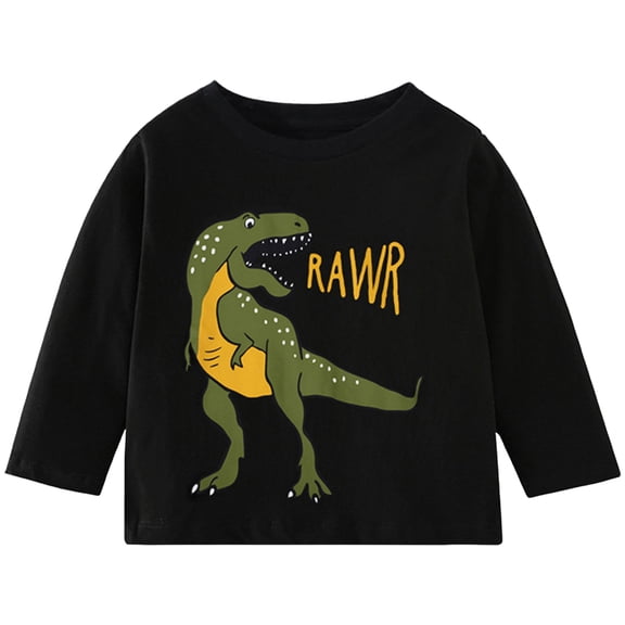 Ulanda Baby Boys,and Toddler Assorted Everyday Long Sleeve Graphic T-Shirts (Black, 8-9 Years)