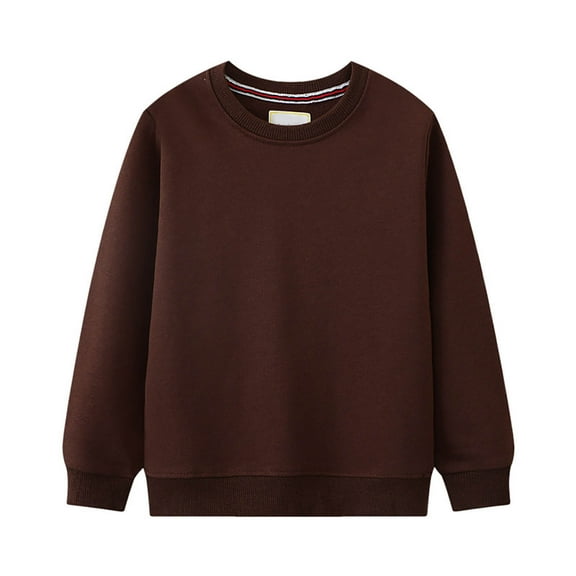 Ulanda Boys Girls Crewneck Sweatshirts Toddler Baby Sweatshirt Solid Cotton Soft Long Sleeve Active Pullover Tshirts (Coffee, 5 Years)