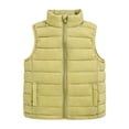 thumbnail image 1 of Ulitacool Boys Spring Coats Boys Lightweight Quilted Vest Outerwear Insulated Sleeveless Jacket For Kids And Youth With Stand Collar Easy Wear Soft Wear Green 8-9 Years, 1 of 6