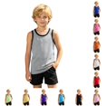 thumbnail image 1 of Ulitacool T Shirts For Boys Crewneck Sleeveless Tank Tops Solid Color Vest Cute Child Clothes 4-5 Years Grey, 1 of 6