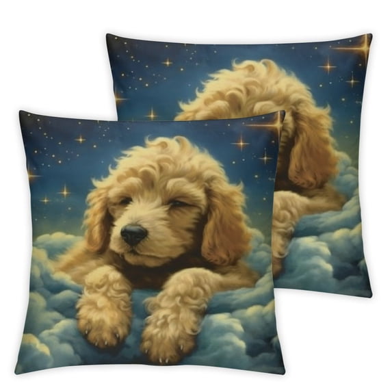 Ullo0ord 3D Painting Cushion Covers Set of 2 Cozy Pillow Covers Square Decorative Throw Pillow Covers for Sofa Couch Farmhouse Home Decorations 24x24in