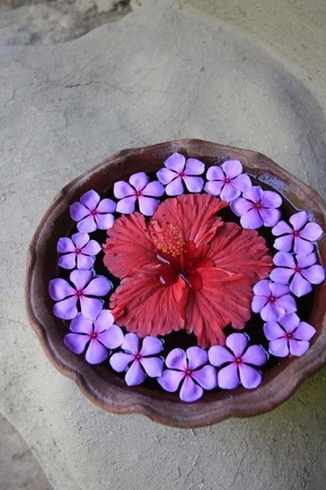 Ulpotha Sri Lanka Canvas Art - Douglas Peebles DanitaDelimont (24 x 36)