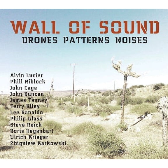 Ulrich Krieger - Wall Of Sound: Drones Patterns Noises - Music & Performance - CD