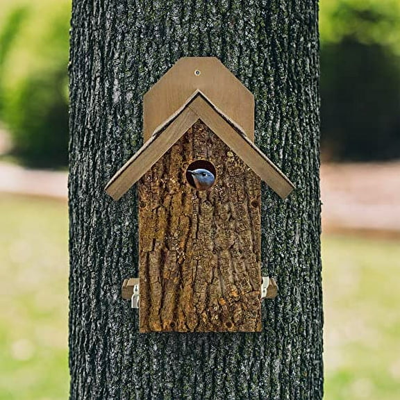 Ultimate Bluebird House; Rustic Handmade Small Bird Nesting Box