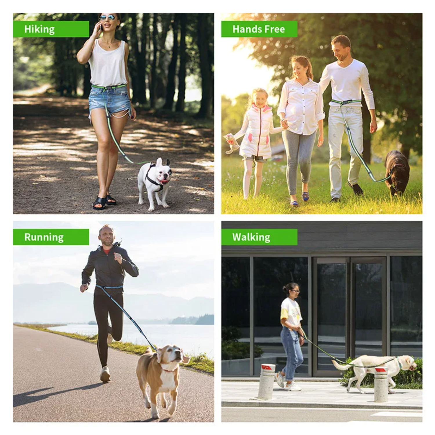 Ultimate Enhanced Large Premium Reflective HandsFree Dog Leash for