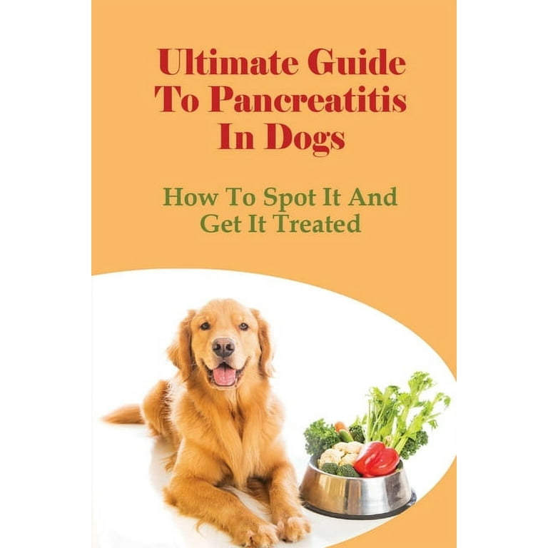 Pancreatitis in dogs raw diet online