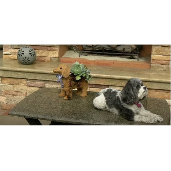 Ultimate Innovations Animal Planter - Dog