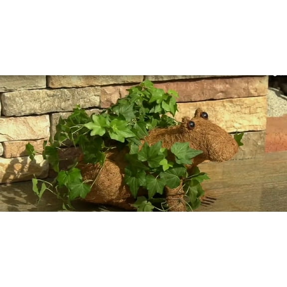 Ultimate Innovations Animal Planter - Frog