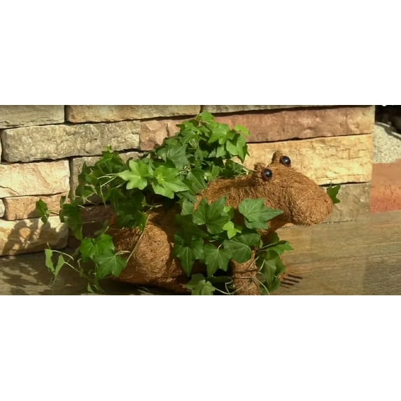 Ultimate Innovations Animal Planter - Frog