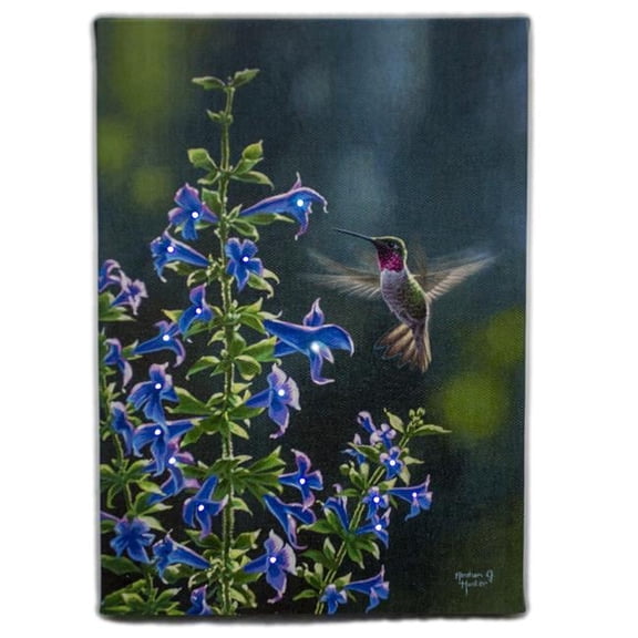 Ultimate Innovations Lighted Hummingbird Print