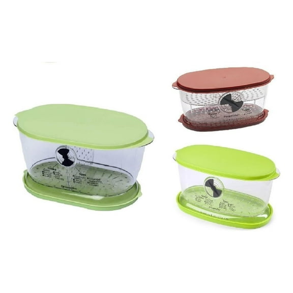Ultimate Keeper Set - Collapsible Produce, Fruit and Vegetable and Berry Keeper( Set of 3)