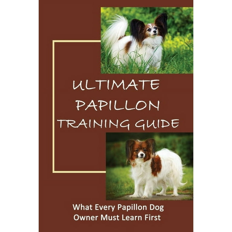 Papillion Dog Breed - Facts and Personality Traits