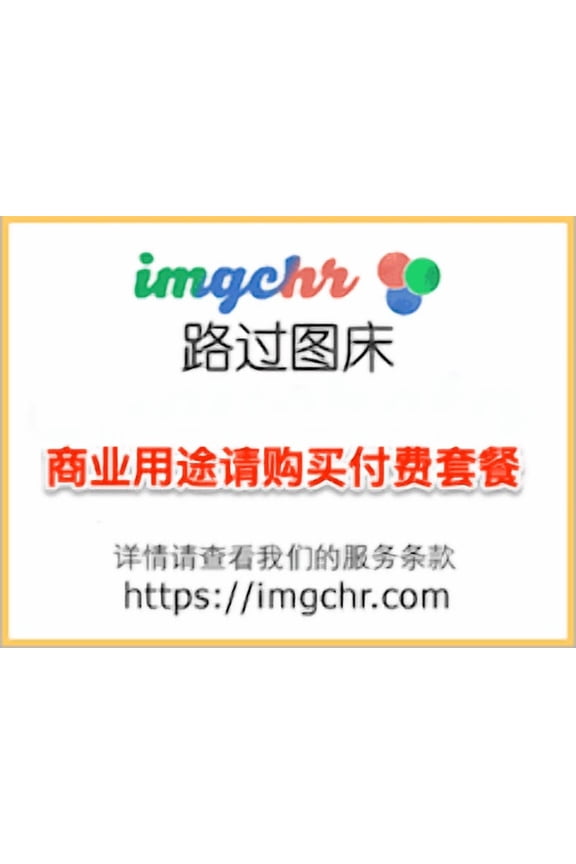 Ultimate Travel Pillow, Neck Pillow, Ergonomic, Car, Bus, Train, Office, Camping, Wheelchair (Small Roll Up)