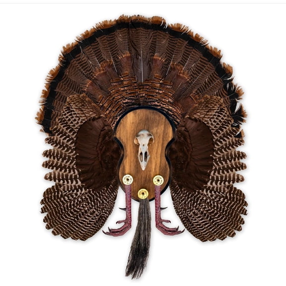 Ultimate Turkey Plaque by Illusion | Turkey Mounting Kit | Rustic Wall Mount Display Plaque | European Turkey Skull Included | Turkey Beard, Fan, Feet, WIngs Optional | Universal Size