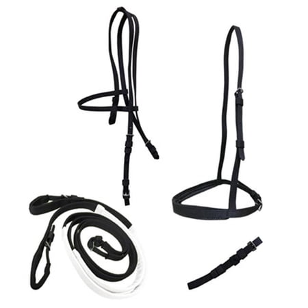 Ultra Bridle Set with Buckle Reins, Purple