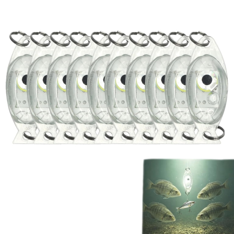 cri fly reel for sale Fin Cassette Its lightweight Accessories_Nets Color:EXELT6000D Creative Coop Herbalist 19.25