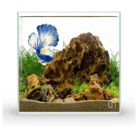 Ultra Clear Rimless Aquarium - Low Iron Glass Fish with 45° Mitered Edges, 5mm-12mm Thick, Leveling Mat Included (25C, Cube, 4 Gallon)