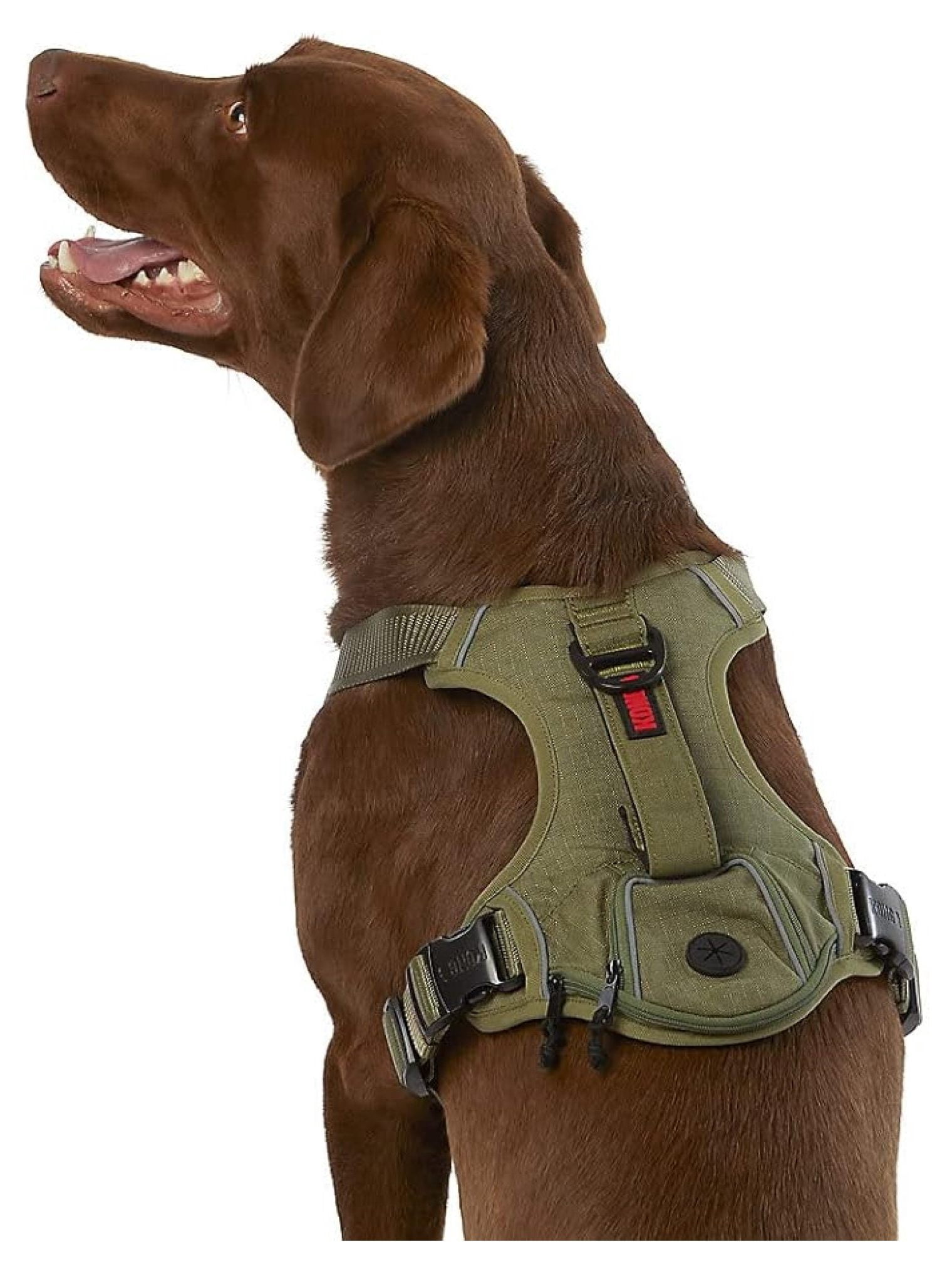 Ultra Durable Waste Bag Harness (Medium, Green)