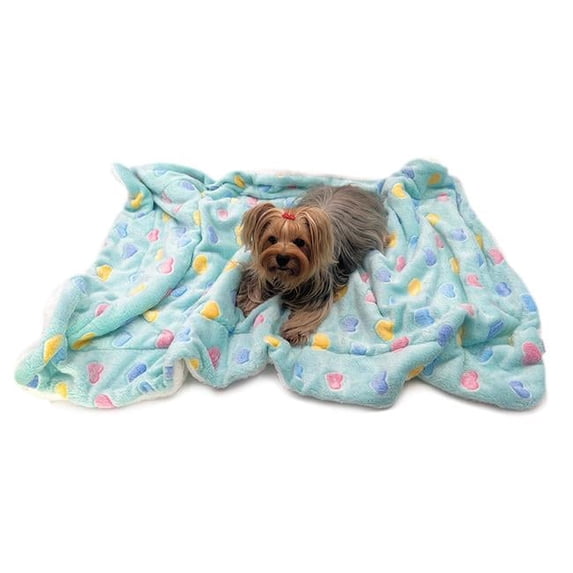 Ultra Plush Colorful Hearts Blanket, Blue - Small
