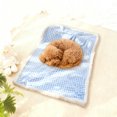 thumbnail image 1 of Ultra Soft Dog Cat Bed Mat with Cute Prints Reversible Fleece Dog Crate Kennel Pad Cozy Washable Thickened Hamster Guinea Pig Bed Pet Bed Mat for Small Animals, 1 of 7