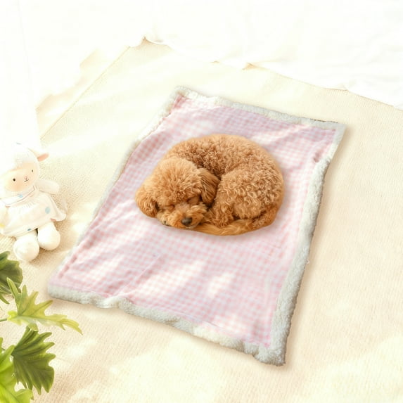 Ultra Soft Dog Cat Bed Mat with Cute Prints Reversible Fleece Dog Crate Kennel Pad Cozy Washable Thickened Hamster Guinea Pig Bed Pet Bed Mat for Small Animals