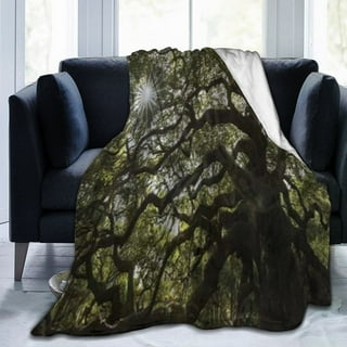 Angel oak blanket sale