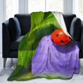 UltraSoft Micro Fleece Blanket,Insect Flower Ladybug Natural Floral