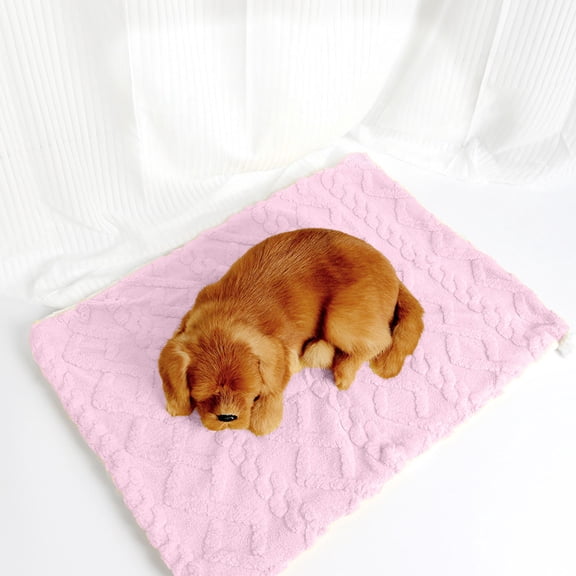 Ultra Soft Pet Blanket for Cats and Dogs-Fluffy Reversible Throw,Machine Washable&Lightweight,Cat Blanket Puppy Bed Mat for Couch,Sofa,Car,Travel,Furniture Protector,Winter Warm(27.56*21.65Inch)