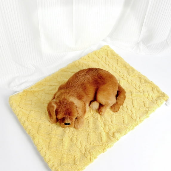 Ultra Soft Pet Blanket for Cats and Dogs-Fluffy Reversible Throw,Machine Washable&Lightweight,Cat Blanket Puppy Bed Mat for Couch,Sofa,Car,Travel,Furniture Protector,Winter Warm(27.56*21.65Inch)