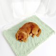 thumbnail image 1 of Ultra Soft Pet Blanket for Cats and Dogs-Fluffy Reversible Throw,Machine Washable&Lightweight,Cat Blanket Puppy Bed Mat for Couch,Sofa,Car,Travel,Furniture Protector,Winter Warm(27.56*21.65Inch), 1 of 4