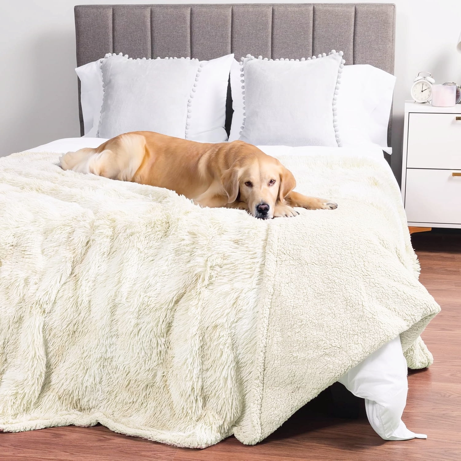 Ultra-Soft Pet Blanket in Cream Beige, Washable Protector for Large Dogs 60x80