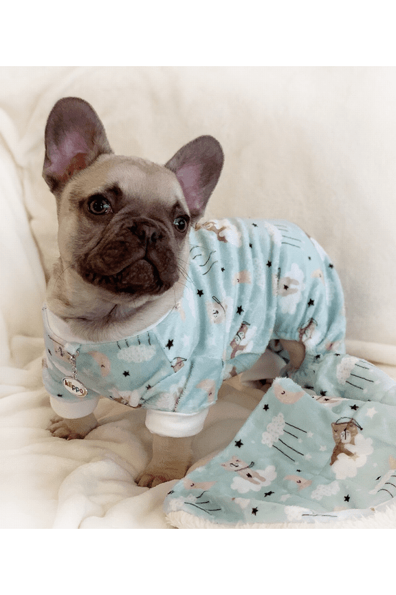 Ultra Soft Plush Minky Bedtime Bears Pajamas