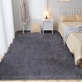 Cshidworld Ultra Soft Rug for Living Room, 4X6 Fluffy Area Rug for Bedroom, Modern Shaggy Carpets Fuzzy Rug for Teens Dorm Bedside Home Decor Aesthetic, Heavy Duty Non Slip, Dark Gray