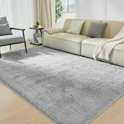 Cshidworld Ultra Soft Rug for Living Room, 5X8 Fluffy Shag Area Rug for Bedroom, Modern Shaggy Carpets Fuzzy Rug for Teens Dorm Bedside Home Decor Aesthetic, Heavy Duty Non Slip, Gray