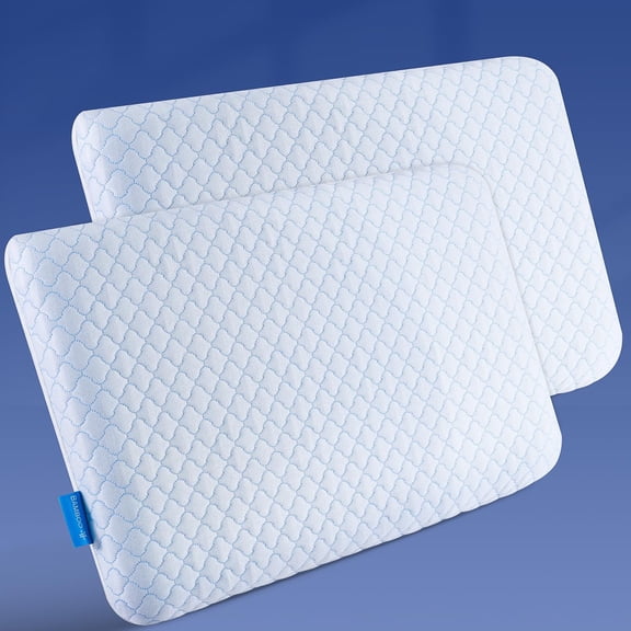Ultra Thin Flat Memory Foam Pillow Standard Size 2.75 Inch Height 16x25 Inch Set of 2
