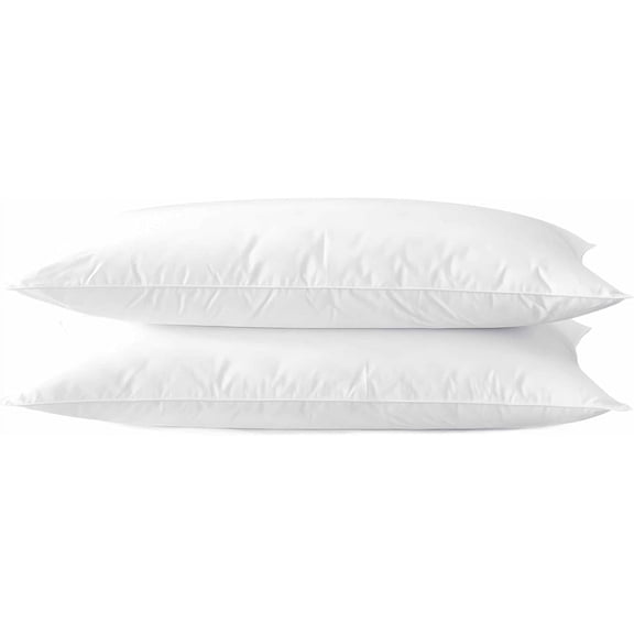 Ultra Thin Flat Soft Bed Pillows Queen Size Set of 2 Pack for Sleeping 20"x30", Hypoallergenic Skin Friendly Machine Washable