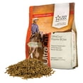 thumbnail image 1 of UltraCruz® Equine BCAA, 4 lb, 1 of 5