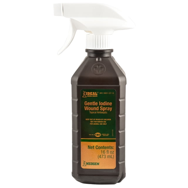 Incision Spray UltraCruz Iodine Wound Spray, 1 pt - Walmart.com
