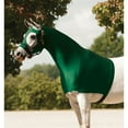 thumbnail image 1 of UltraFlex Horse Sleazy Slickers | Pull-On Hood (Original) | Green | Medium, 1 of 9